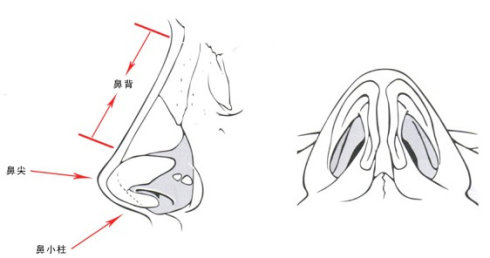 武汉怎么做鼻翼缩小手术的